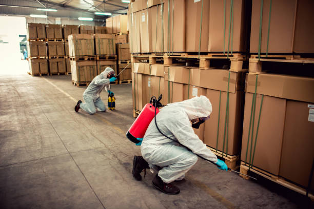 Best Affordable Pest Control Services  in Hudson, CO