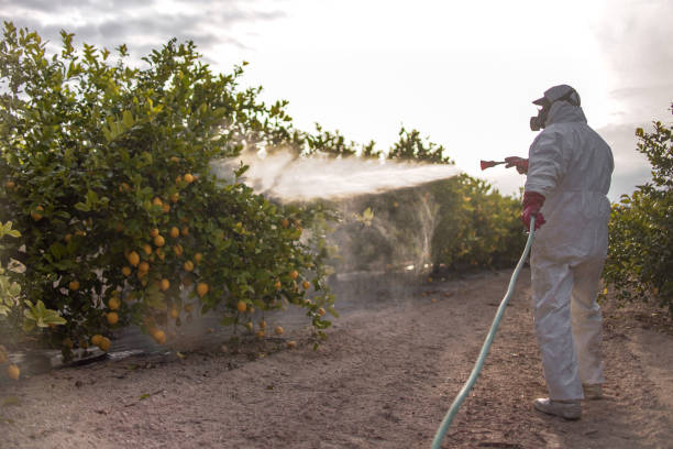 Best Affordable Pest Control Services  in Hudson, CO